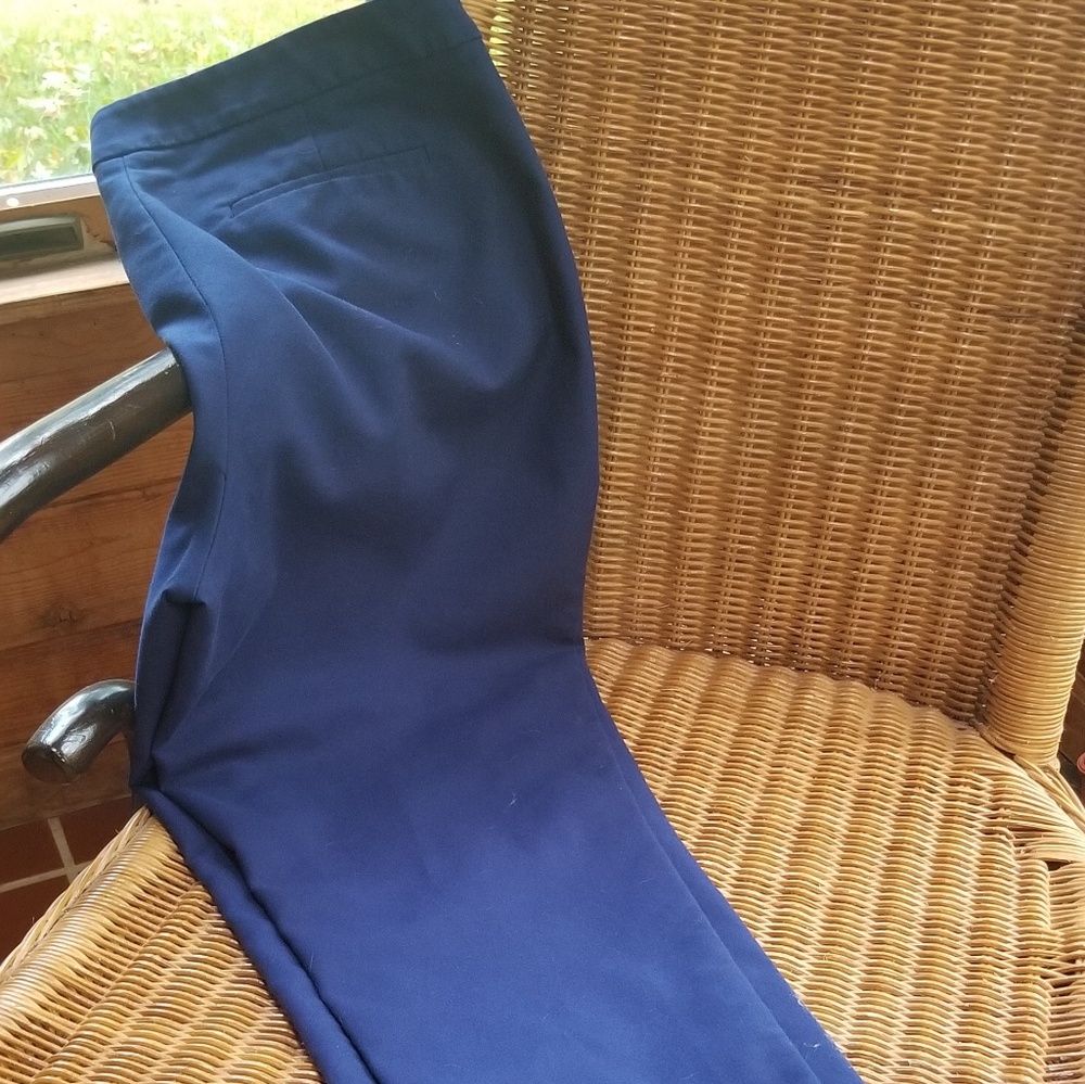 Navy Slim Ankle Pants